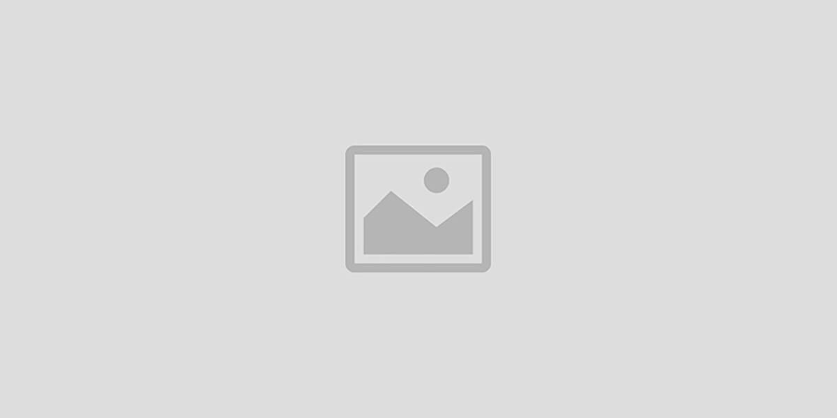 A2webmaster promo