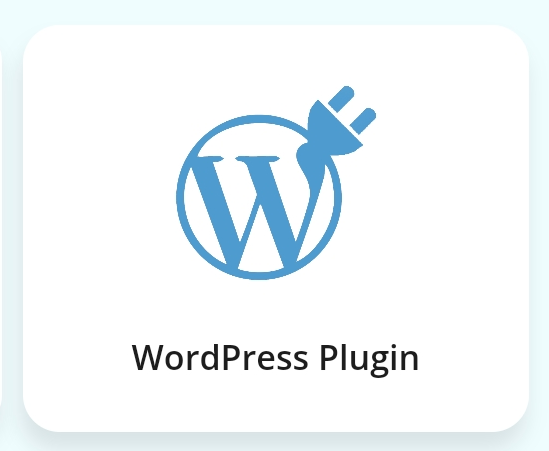 WordPress Plugin